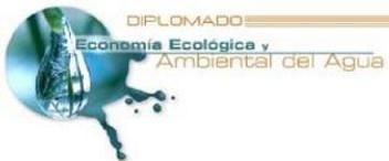 FES Acatlan 2012 diplomado